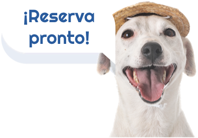 Reserva-tu-viaje-dog-friendly_viajar-con-mi-perro-mochilero