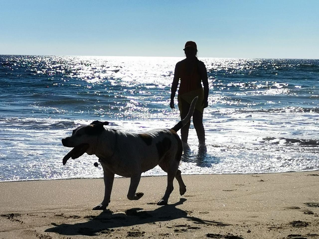 Bitácora Perruna tita 3