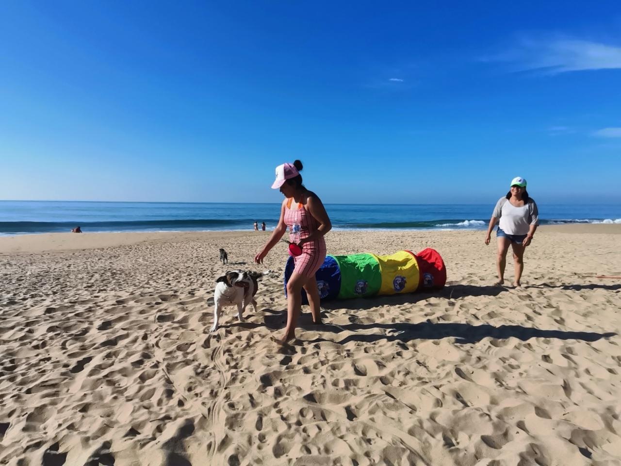 Bitácora Perruna tita7