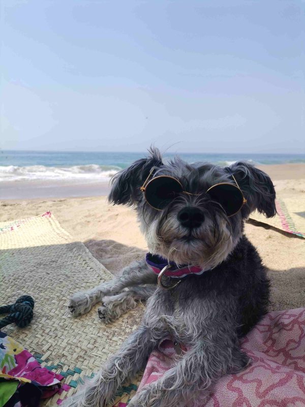 Riviera Nayarita