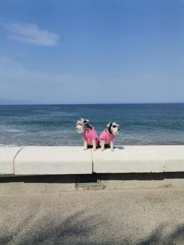 Riviera Nayarita