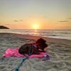Riviera Nayarita