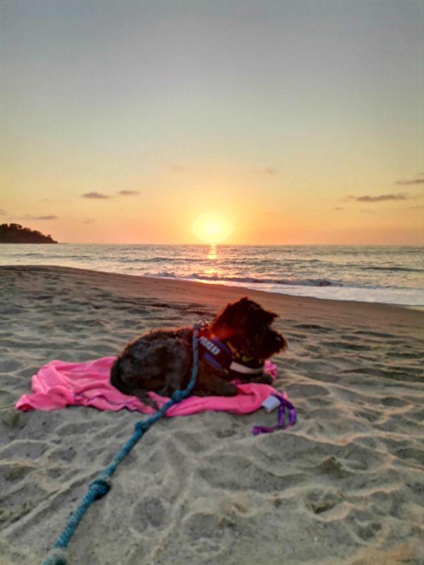 Riviera Nayarita