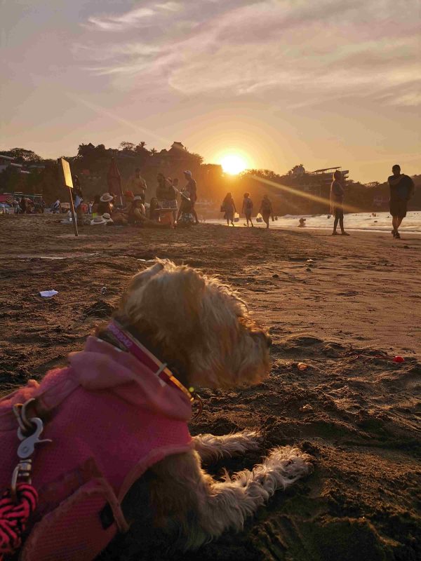 Riviera Nayarita