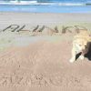 Playa Anton Lizardo