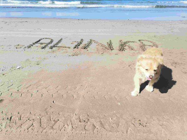 Playa Anton Lizardo