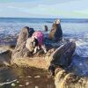 Playa Anton Lizardo
