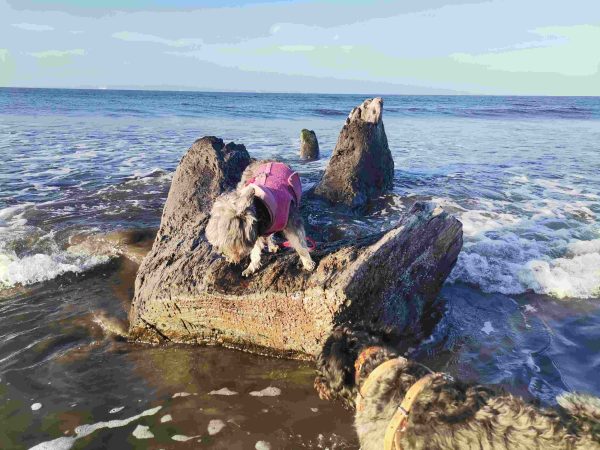 Playa Anton Lizardo