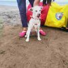 Playa Anton Lizardo