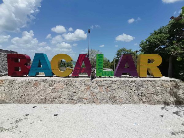 Bacalar
