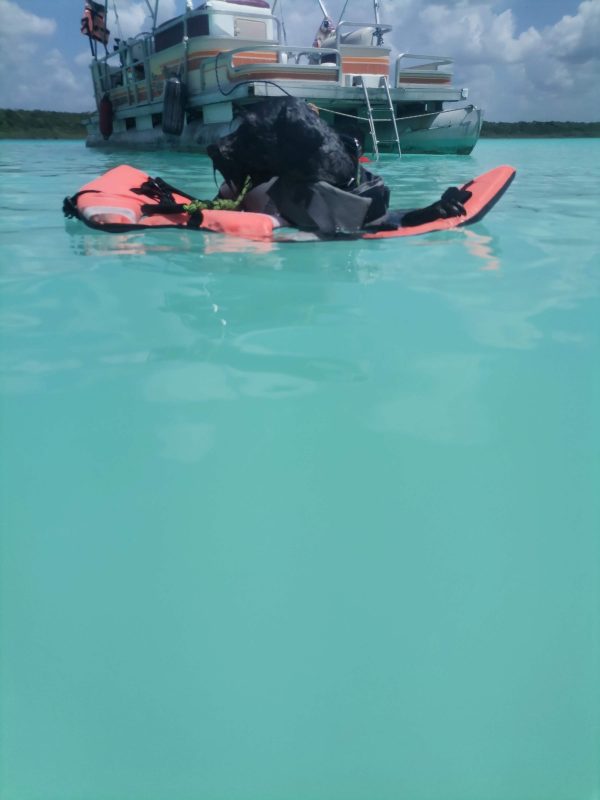 Bacalar