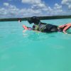 Bacalar