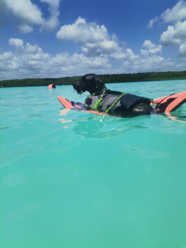 Bacalar