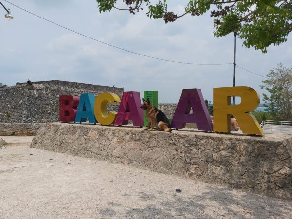 Bacalar