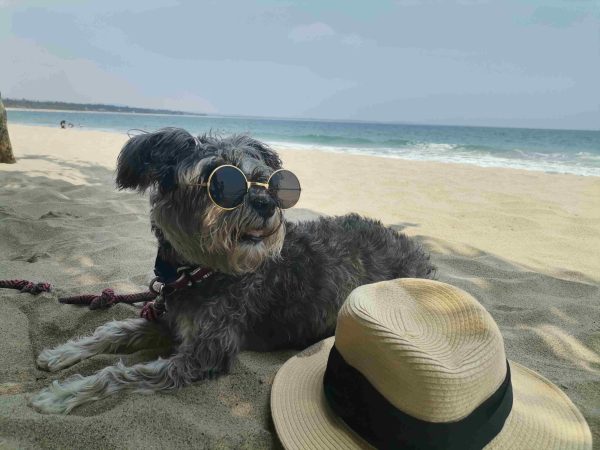 Playa Copala Guerrero