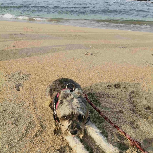 Playa Copala Guerrero