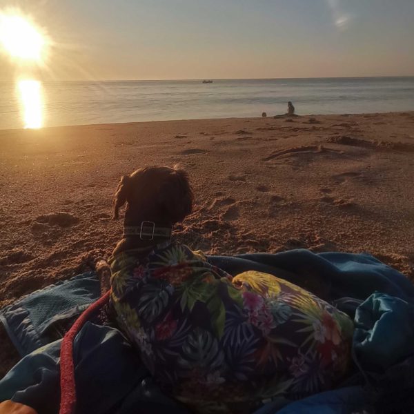 Playa Copala Guerrero