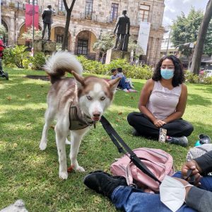 Jardines de México