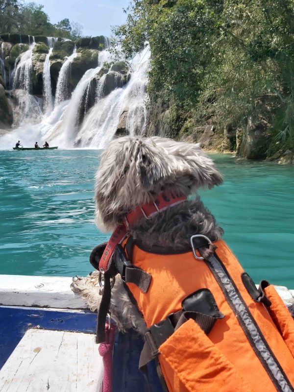 Huasteca Potosina