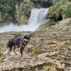 Huasteca Potosina