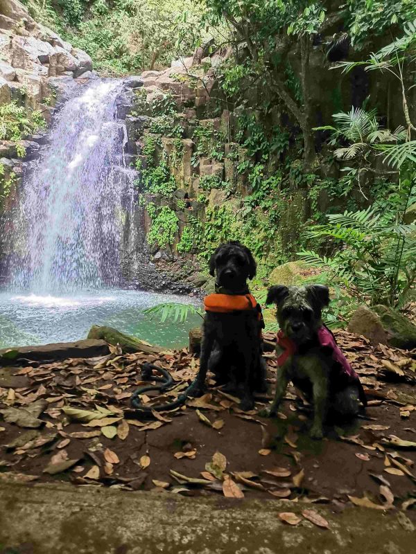 Los Tuxtlas