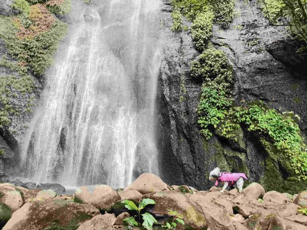 Los Tuxtlas