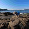 Manzanillo
