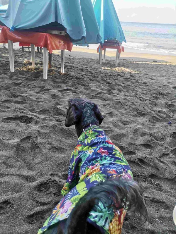 Manzanillo