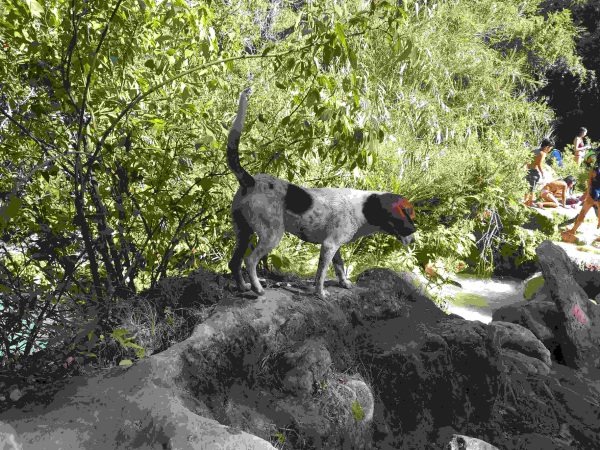 Mil Cascadas en Junio