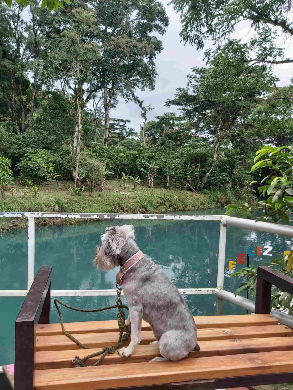 Rio Atoyac