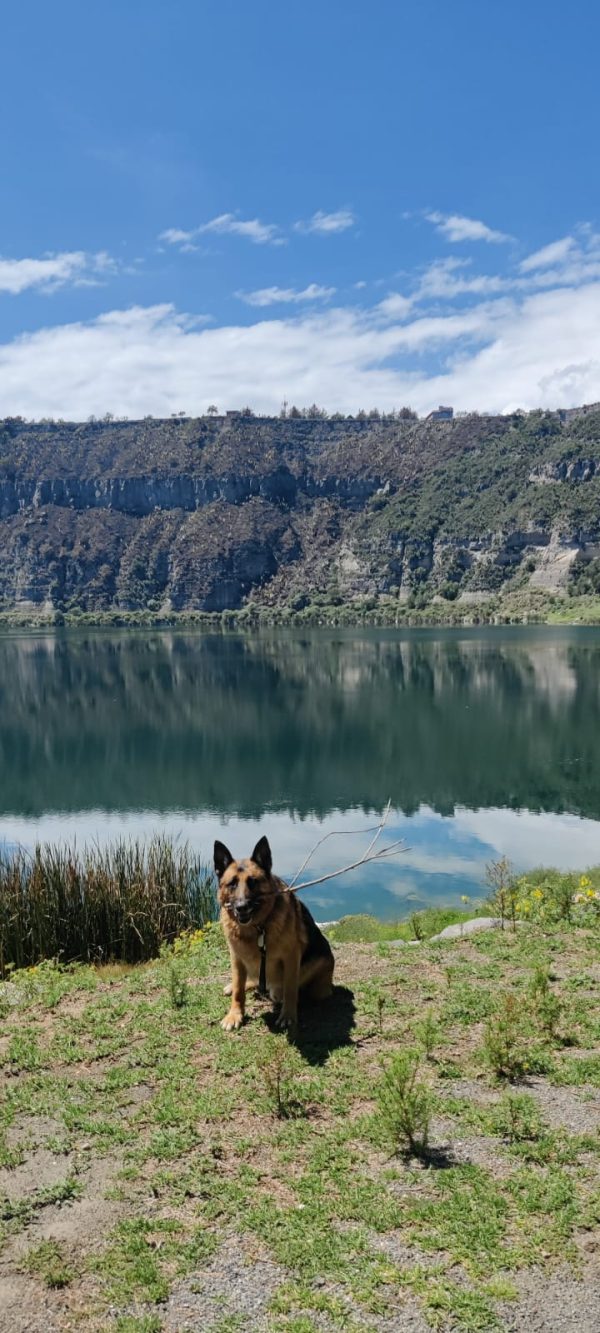 Ruta de los Cráteres Febrero