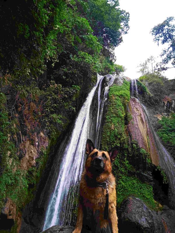 Sierra Negra