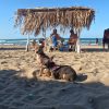 Playa Tecolutla