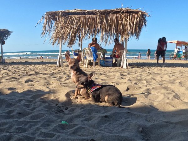 Playa Tecolutla
