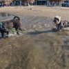 Playa Tecolutla
