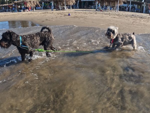Playa Tecolutla