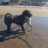 Playa Tecolutla