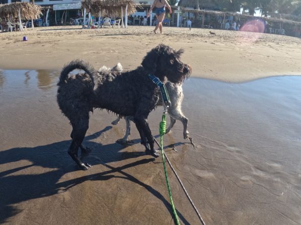 Playa Tecolutla