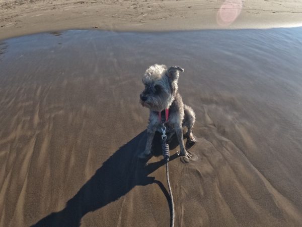 Playa Tecolutla