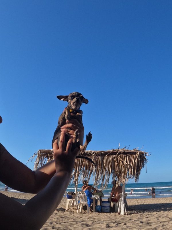 Playa Tecolutla