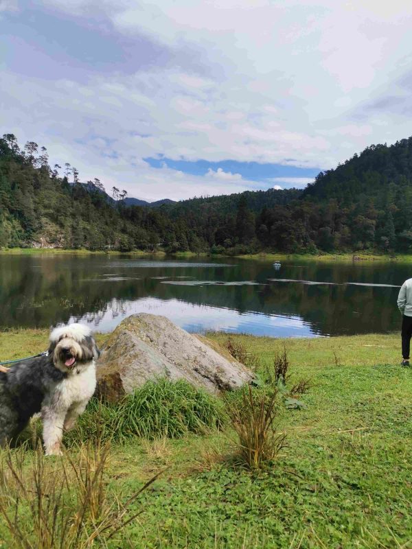 Laguna de Zempoala