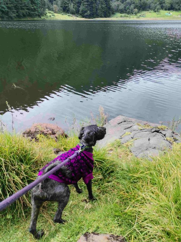 Laguna de Zempoala