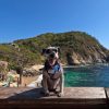 Mazunte y Punta Cometa