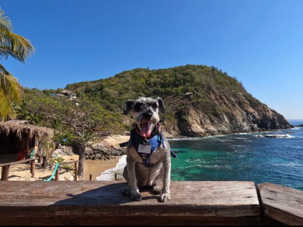 Mazunte y Punta Cometa