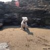 Playa Roca Partida