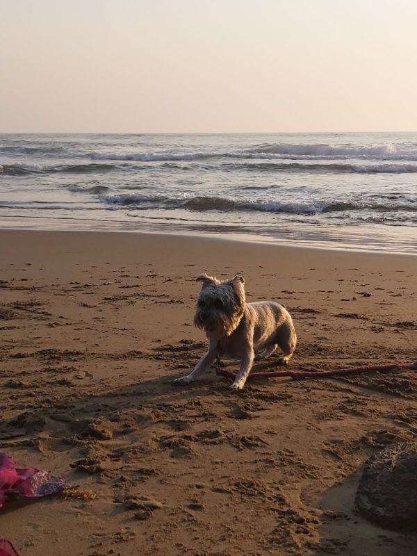 Playa Roca Partida