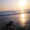 Playa Roca Partida
