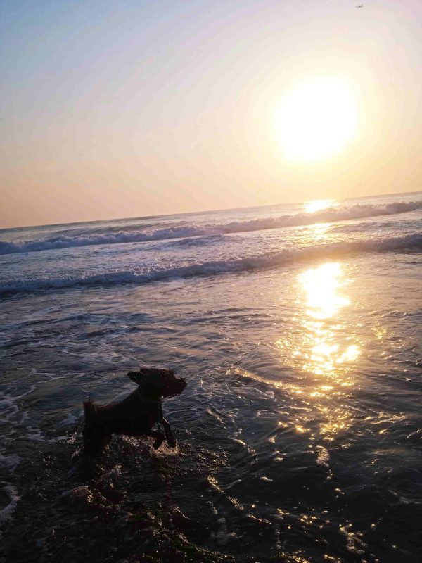 Playa Roca Partida