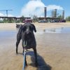 Playa Tuxpan y Tamiahua