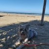 Playa Tuxpan y Tamiahua